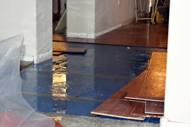 Professional Water Damage Restoration technician working in Saint Charles, IL